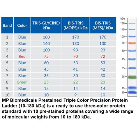 MP Biomedicals Prestained Triple Color Protein。